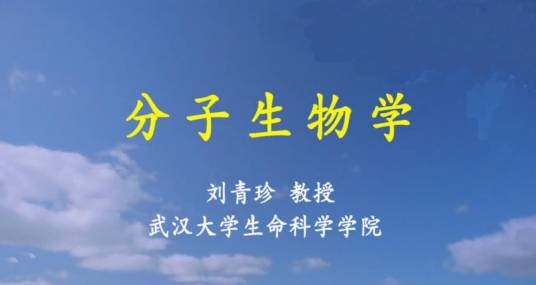 分子生物学(武汉大学建设的慕课)