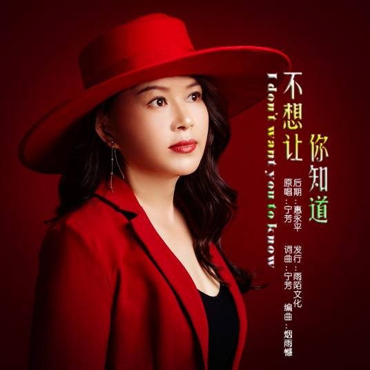 不想让你知道（宁芳、杨君演唱的歌曲）