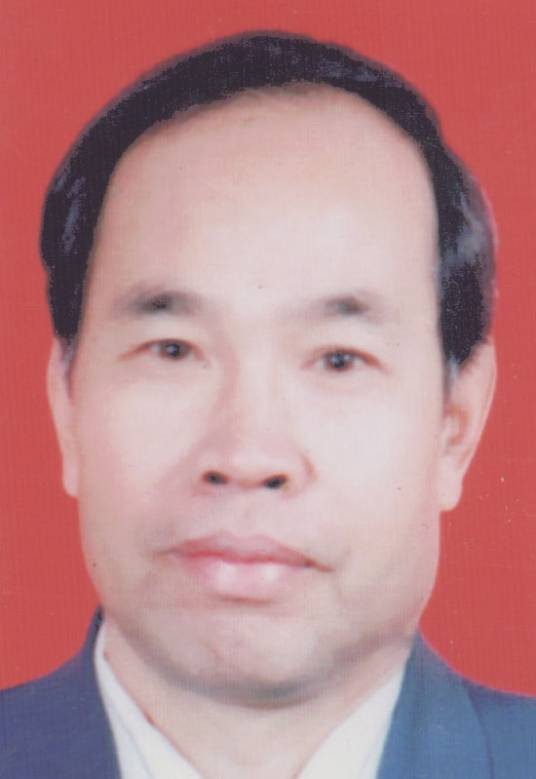 王树国（中国书法家，中国书画家协会理事（截至2013年））