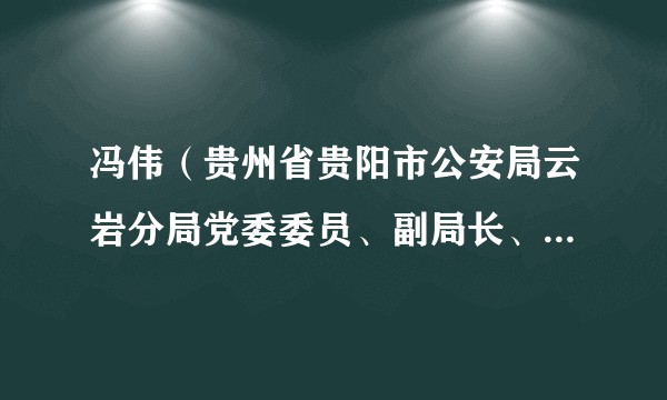 冯伟（贵州省贵阳市公安局云岩分局党委委员、副局长、四级高级警长）