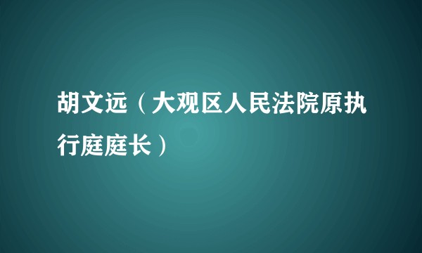 胡文远（大观区人民法院原执行庭庭长）