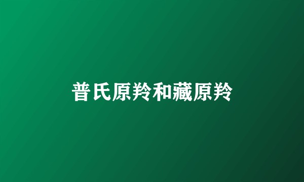 普氏原羚和藏原羚
