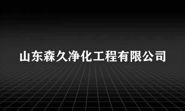 山东森久净化工程有限公司