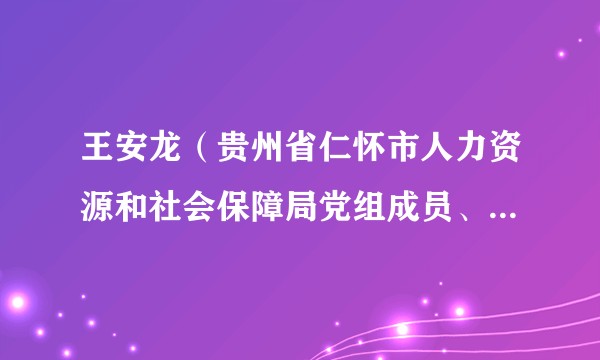 王安龙(贵州省仁怀市人力资源和社会保障局党组成员、副局长)