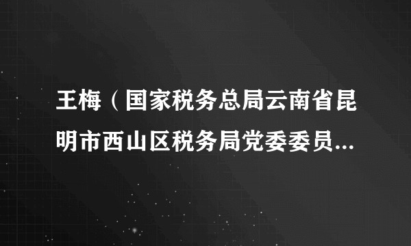 王梅（国家税务总局云南省昆明市西山区税务局党委委员、副局长）