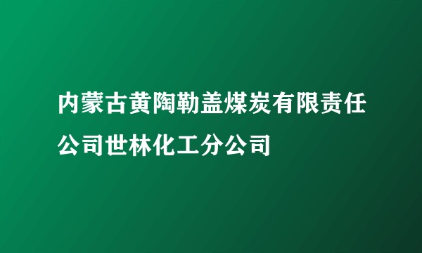 内蒙古黄陶勒盖煤炭有限责任公司世林化工分公司