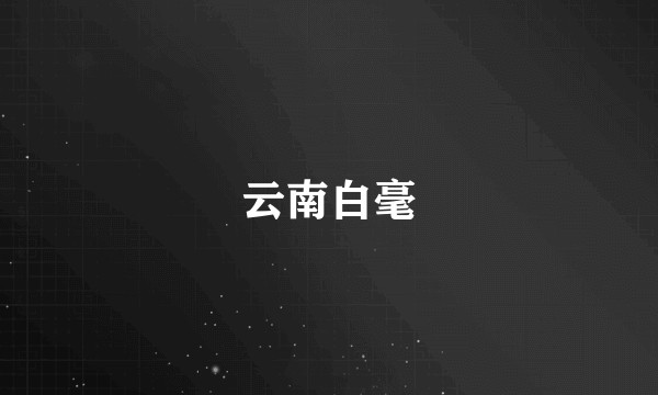 云南白毫