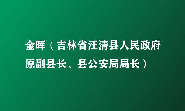 金晖（吉林省汪清县人民政府原副县长、县公安局局长）
