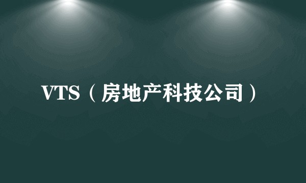 VTS（房地产科技公司）