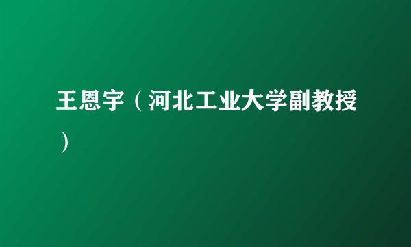 王恩宇（河北工业大学副教授）