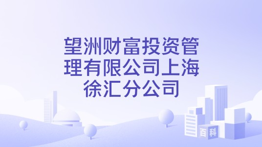 望洲财富投资管理有限公司上海徐汇分公司