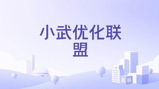 小武优化联盟