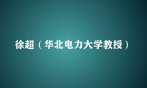 徐超（华北电力大学教授）