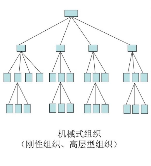 机械式组织