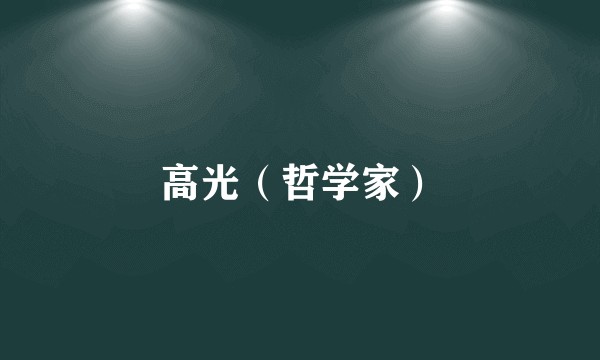 高光（哲学家）