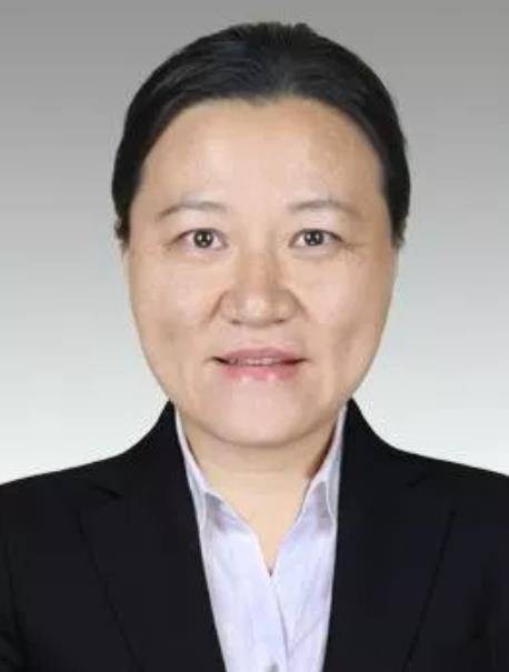 刘珺(上海市人民政府研究室副主任)
