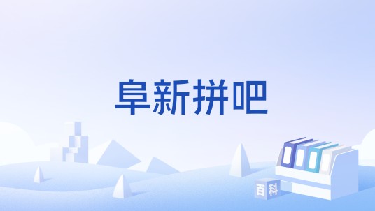 阜新拼吧