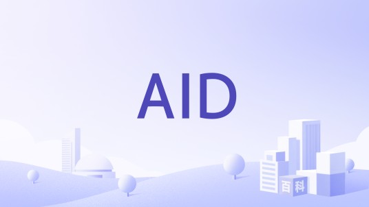 AID(AID公司)