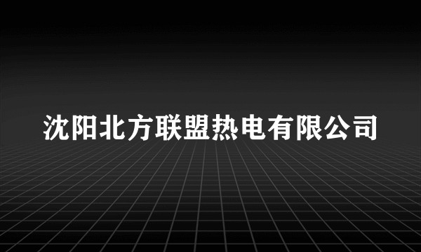 沈阳北方联盟热电有限公司