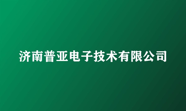 济南普亚电子技术有限公司