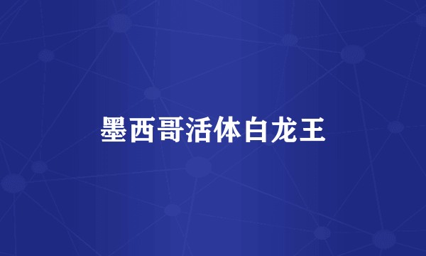 墨西哥活体白龙王