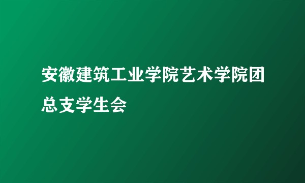 安徽建筑工业学院艺术学院团总支学生会