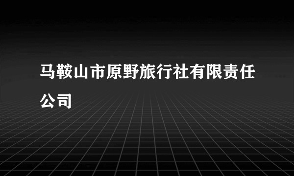 马鞍山市原野旅行社有限责任公司