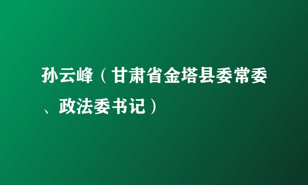 孙云峰（甘肃省金塔县委常委、政法委书记）