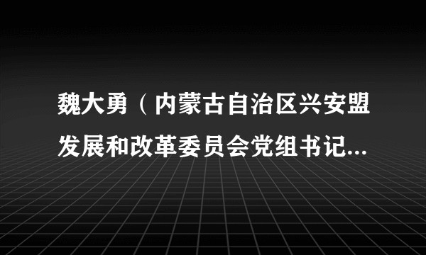 魏大勇（内蒙古自治区兴安盟发展和改革委员会党组书记、主任、能源局局长）