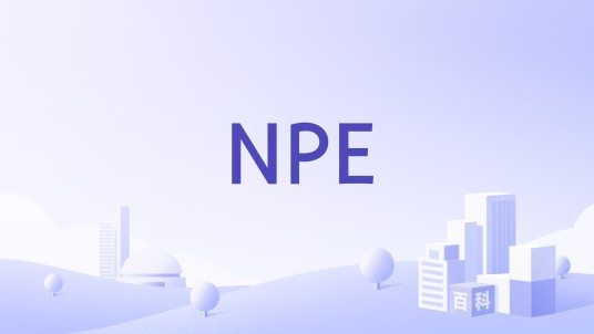 NPE（恒业国际集团旗下高端品牌）