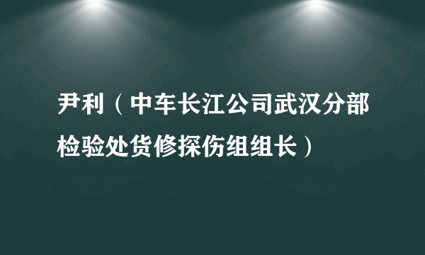 尹利（中车长江公司武汉分部检验处货修探伤组组长）