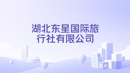 湖北东星国际旅行社有限公司