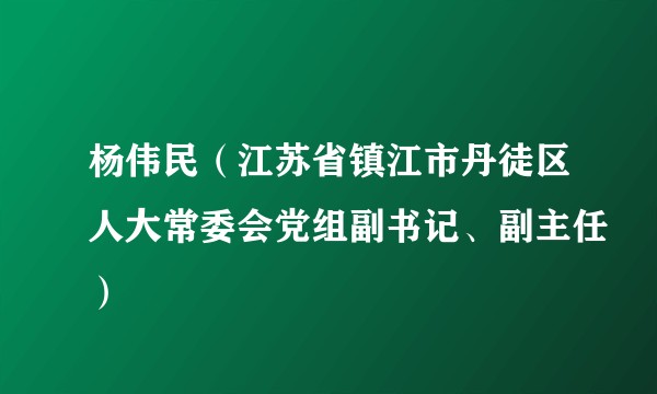 杨伟民（江苏省镇江市丹徒区人大常委会党组副书记、副主任）