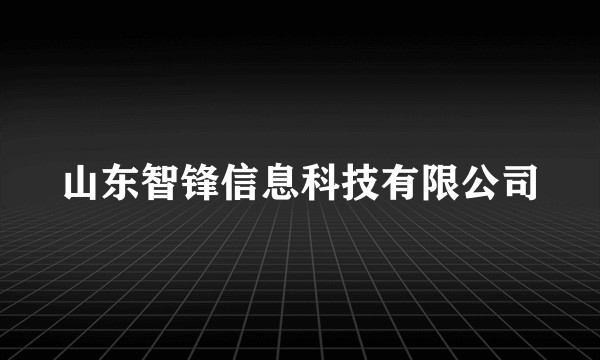 山东智锋信息科技有限公司