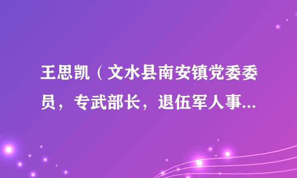 王思凯（文水县南安镇党委委员，专武部长，退伍军人事务站站长，工会主席）