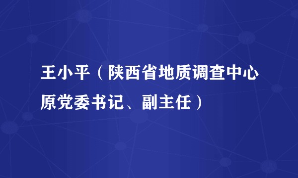 王小平（陕西省地质调查中心原党委书记、副主任）