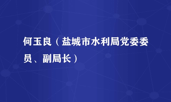 何玉良（盐城市水利局党委委员、副局长）