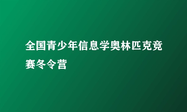 全国青少年信息学奥林匹克竞赛冬令营