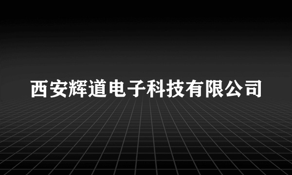 西安辉道电子科技有限公司
