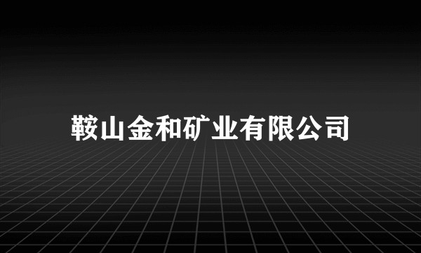 鞍山金和矿业有限公司