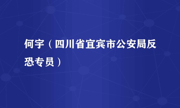 何宇（四川省宜宾市公安局反恐专员）