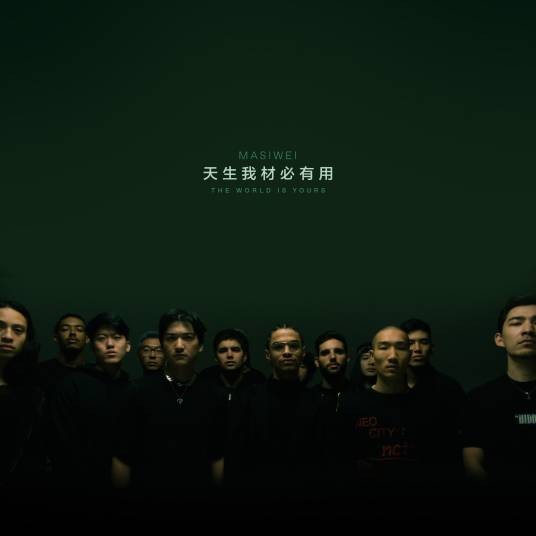 天生我材必有用（马思唯，Higher Brothers演唱歌曲）