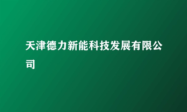 天津德力新能科技发展有限公司