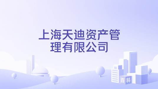 上海天迪资产管理有限公司