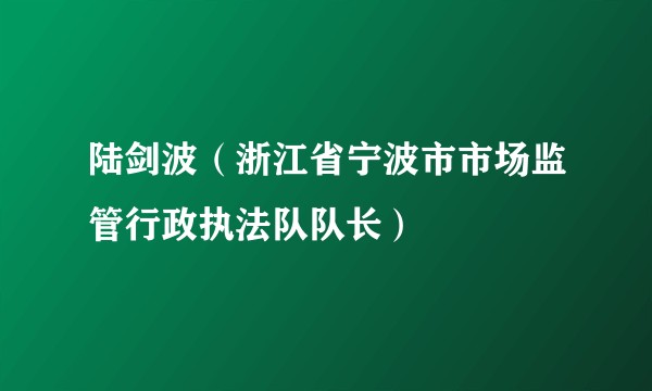 陆剑波（浙江省宁波市市场监管行政执法队队长）