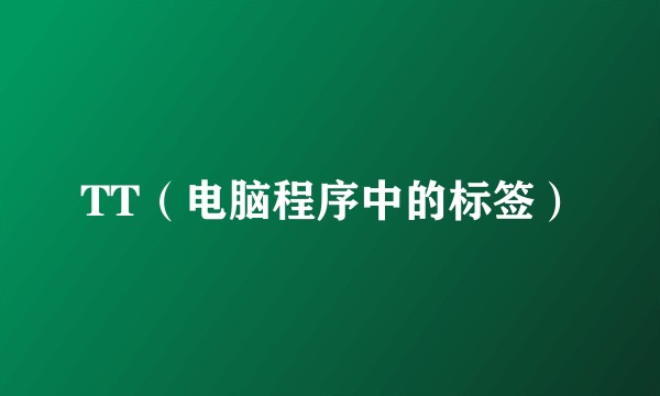 TT（电脑程序中的标签）