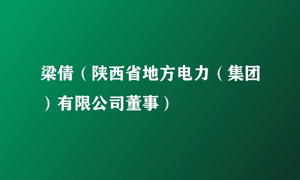 梁倩（陕西省地方电力（集团）有限公司董事）