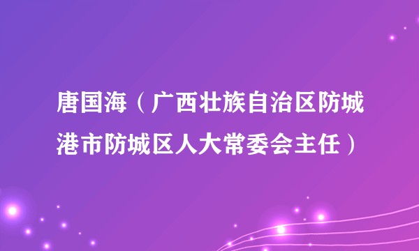 唐国海（广西壮族自治区防城港市防城区人大常委会主任）