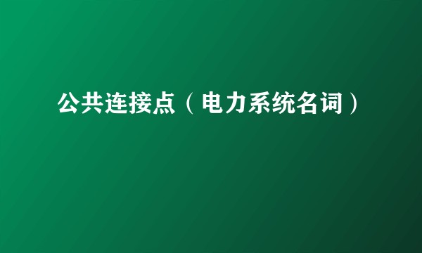 公共连接点（电力系统名词）