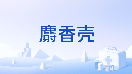 麝香壳（鹿科动物香囊的外壳药材）